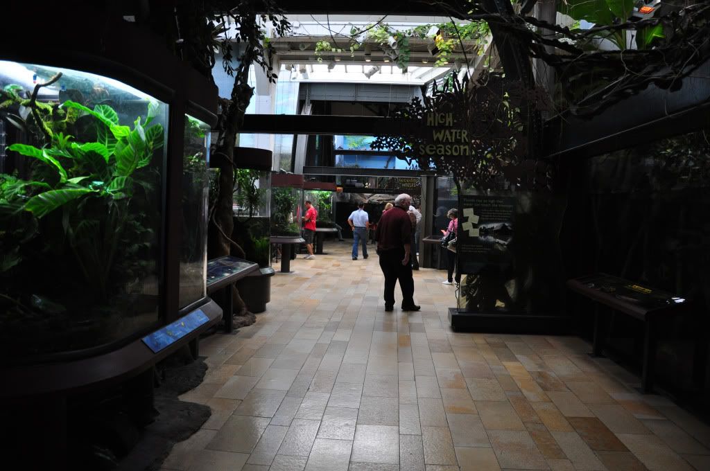 Shedd Aquarium in Chicago, IL Manhattan Reefs